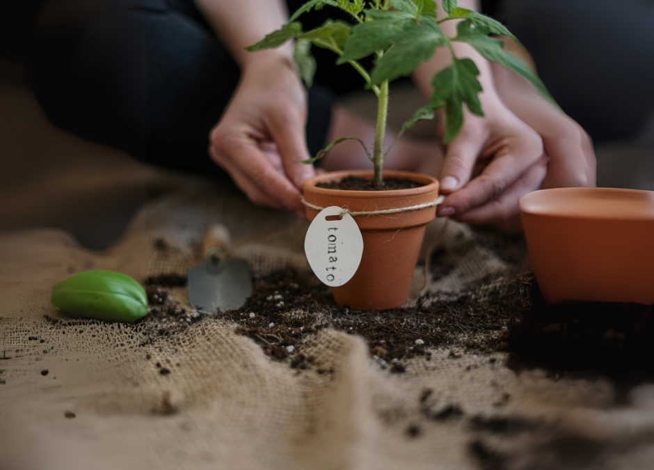 The tariff-related questions that investors should be asking